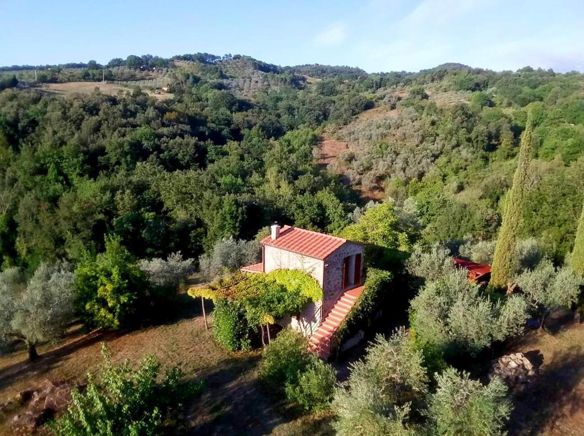 Villa Ferienhaus Il-Pino à Roccastrada Extérieur photo