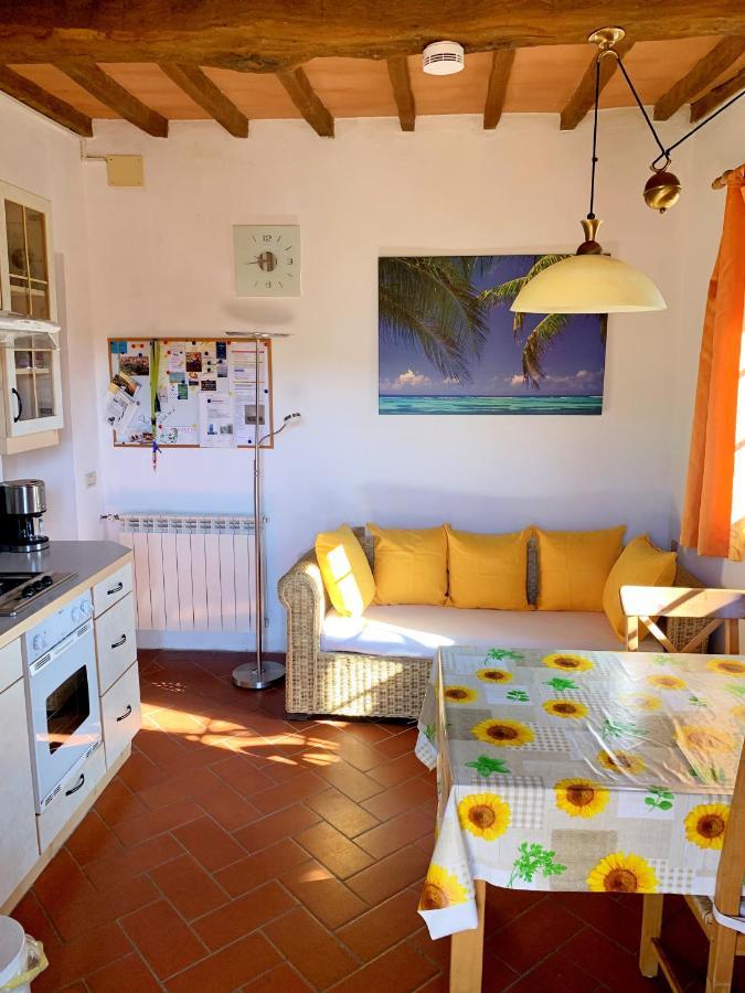 Villa Ferienhaus Il-Pino à Roccastrada Extérieur photo