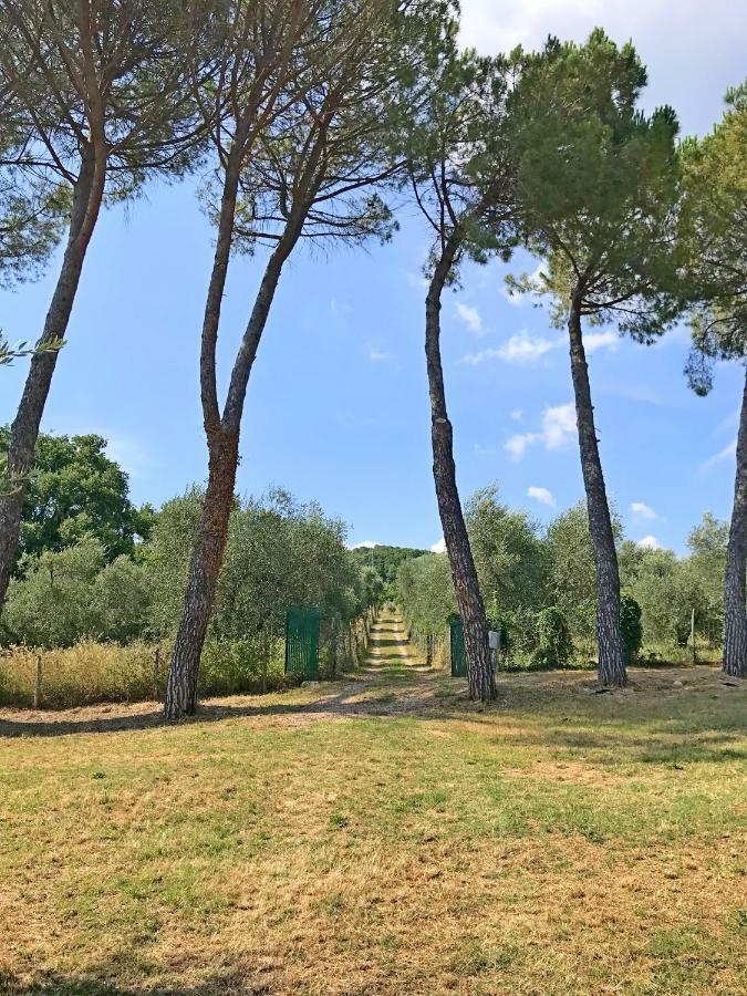 Villa Ferienhaus Il-Pino à Roccastrada Extérieur photo
